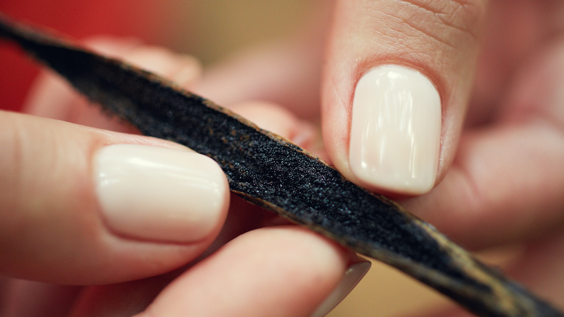 vanille grine ouverte