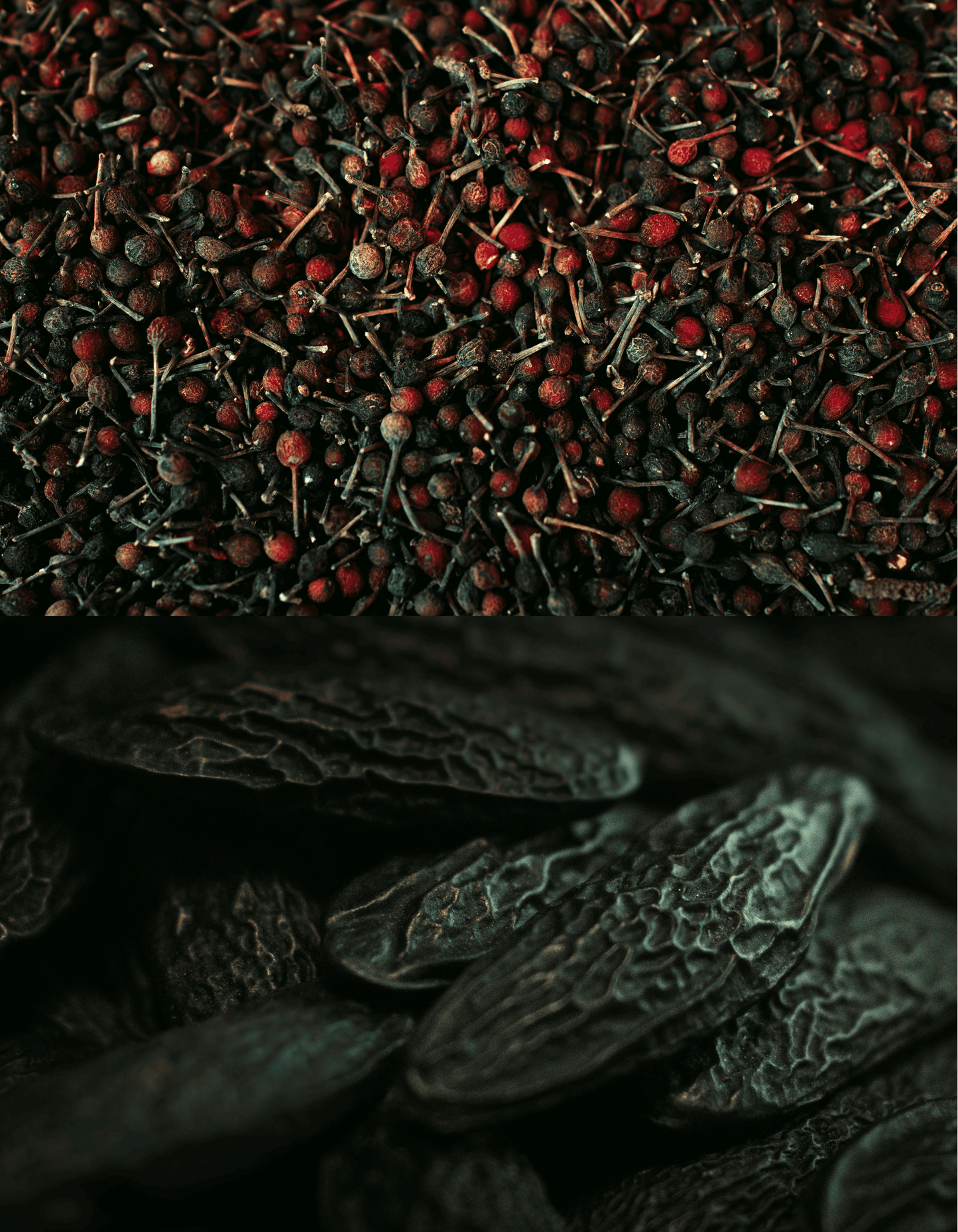 Pack Signature Black Friday