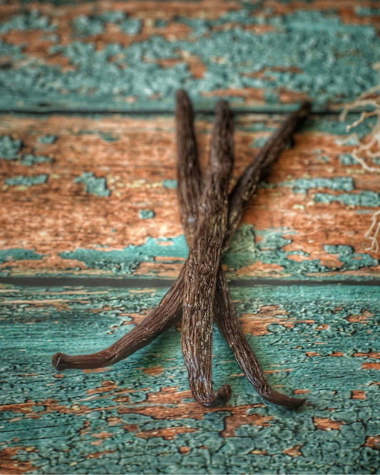 Gousses de Vanille Bourbon Gourmet 20 cm + XXL - Vanilleaix