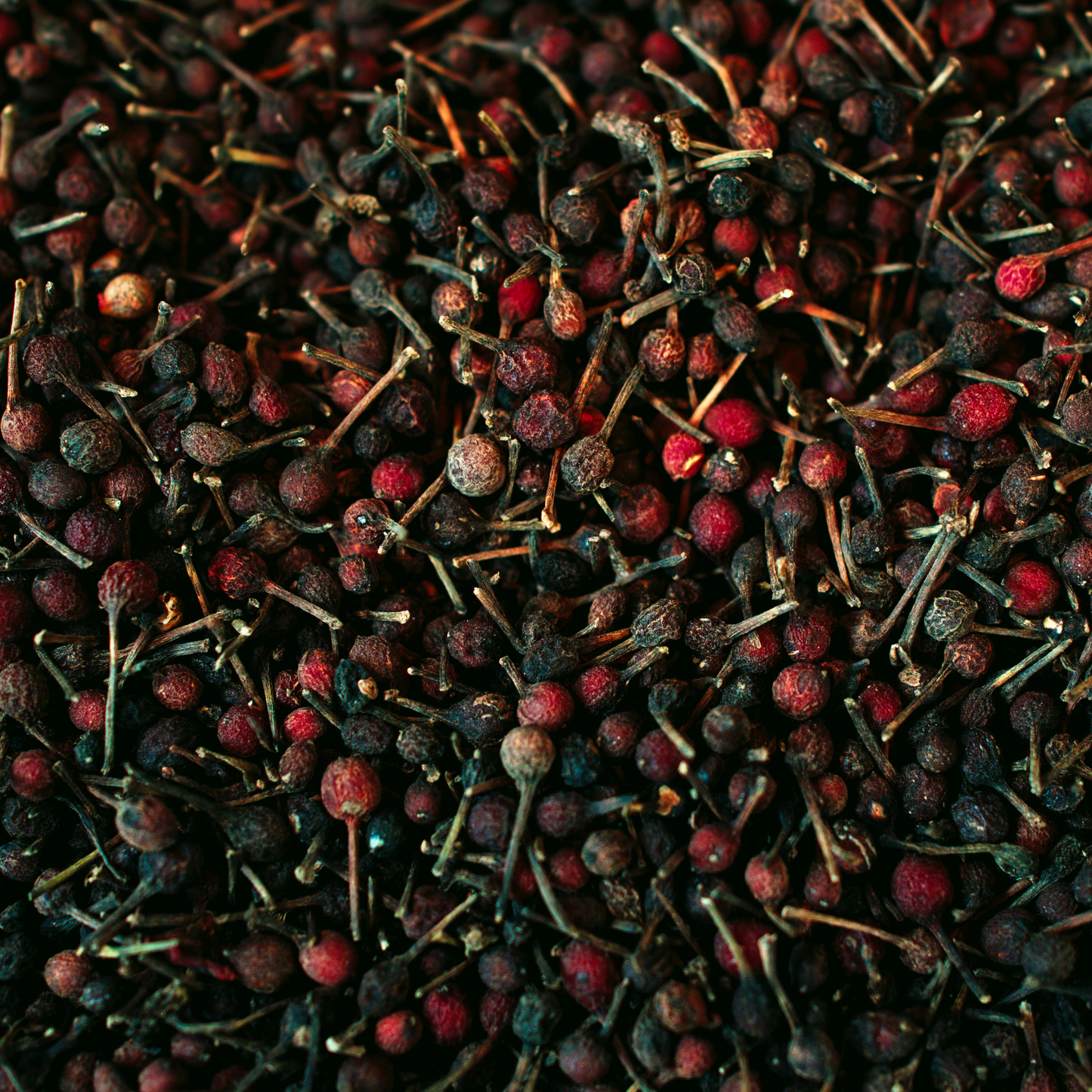Grains de poivres sauvages aux reflets rouges et noirs en vrac