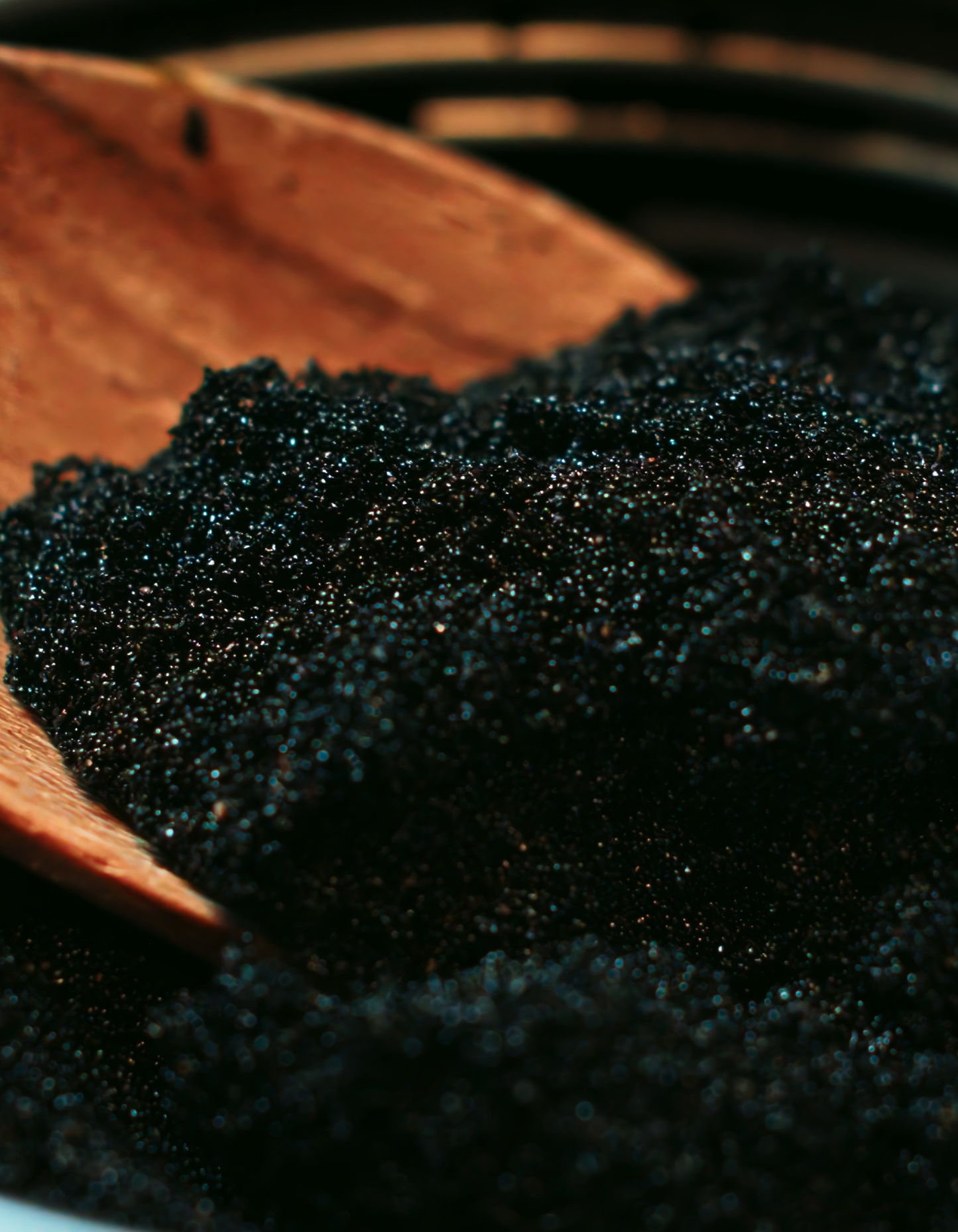 Pack Signature Black Friday