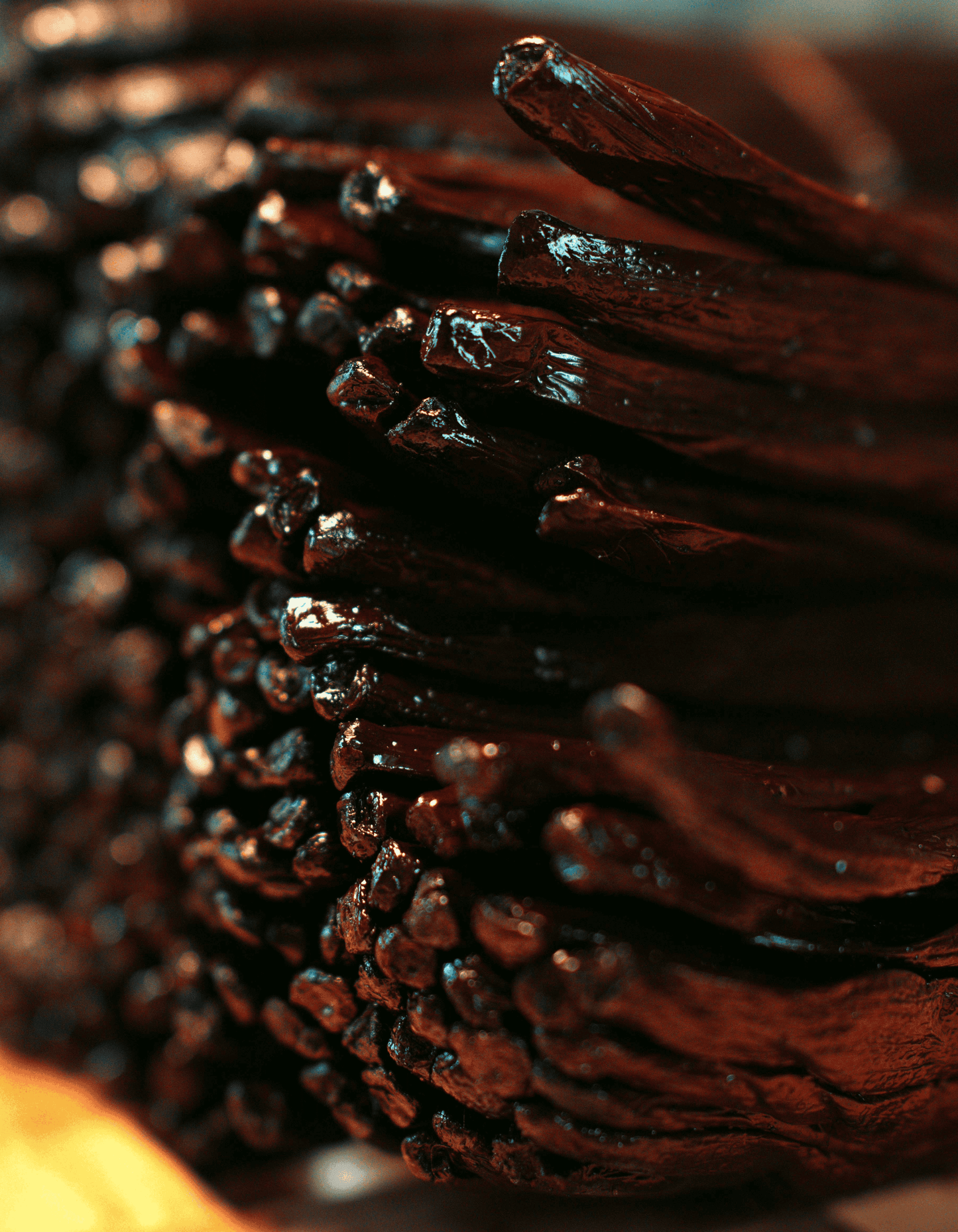 Pack Signature Black Friday