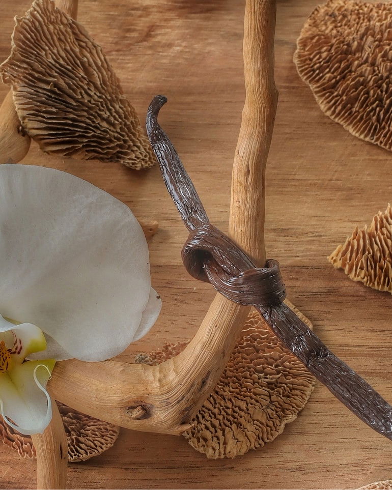 Gousse de Vanille Gourmet 14-16 cm – Premium Madagascar (4,5-5,5g)