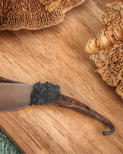 
Gousses de Vanille Bourbon Gourmet 16-18 cm L - Vanilleaix