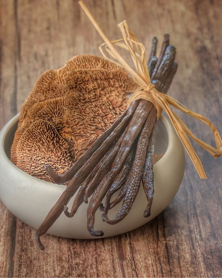 Gousses de Vanille Bourbon Gourmet 18-20 cm XL - Vanilleaix